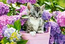 Коте в кошница - Пъзел от 1500 части - пъзел