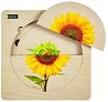 Жизнен цикъл на Слънчоглед - Многослоен дървен пъзел от 6 части - пъзел